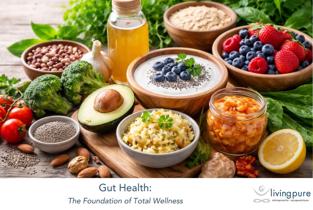 Gut Health: The Foundation of Total Wellness